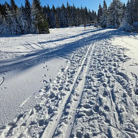 Corso 303 Harrachov