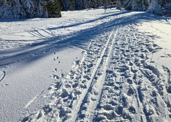 Corso 303 Harrachov